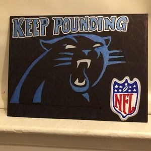 Carolina Panthers🏈